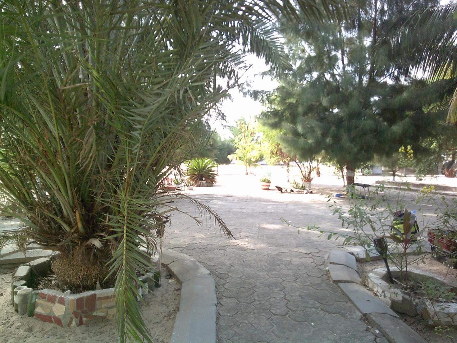 Mangrove Beach Sanyang Экстерьер фото