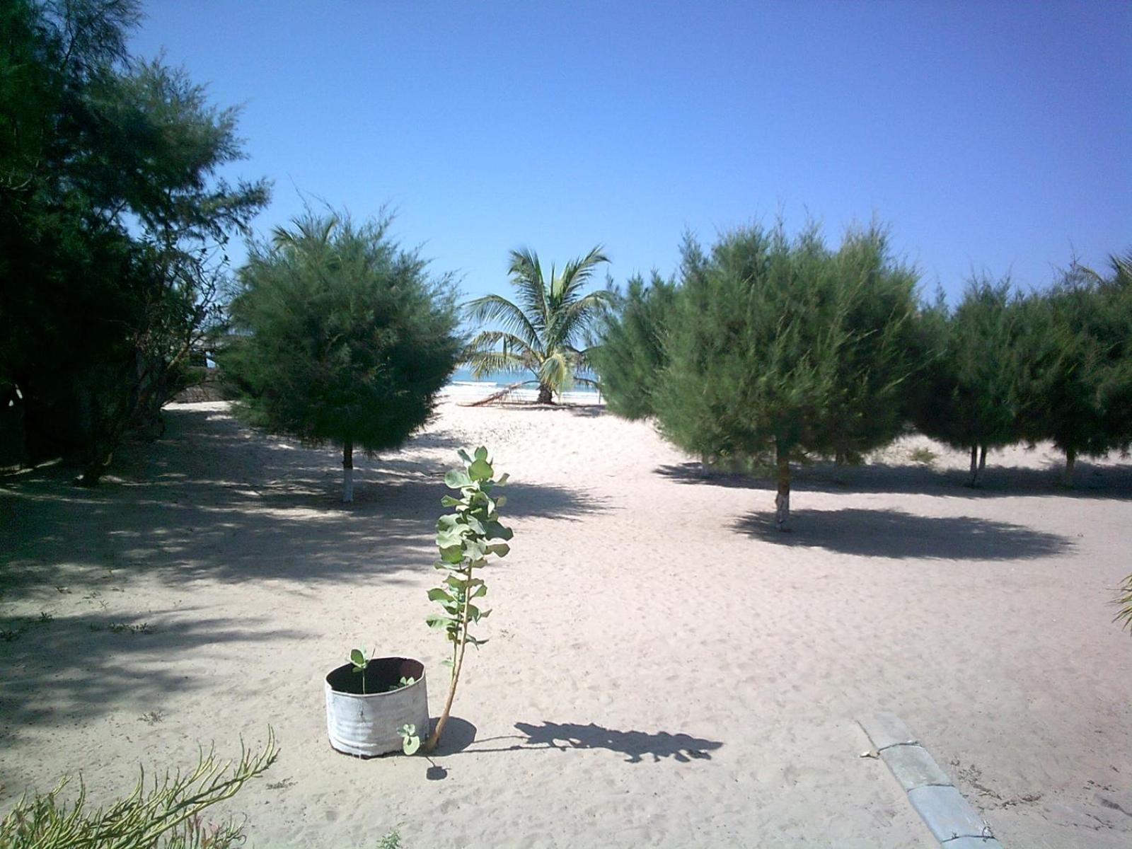 Mangrove Beach Sanyang Экстерьер фото