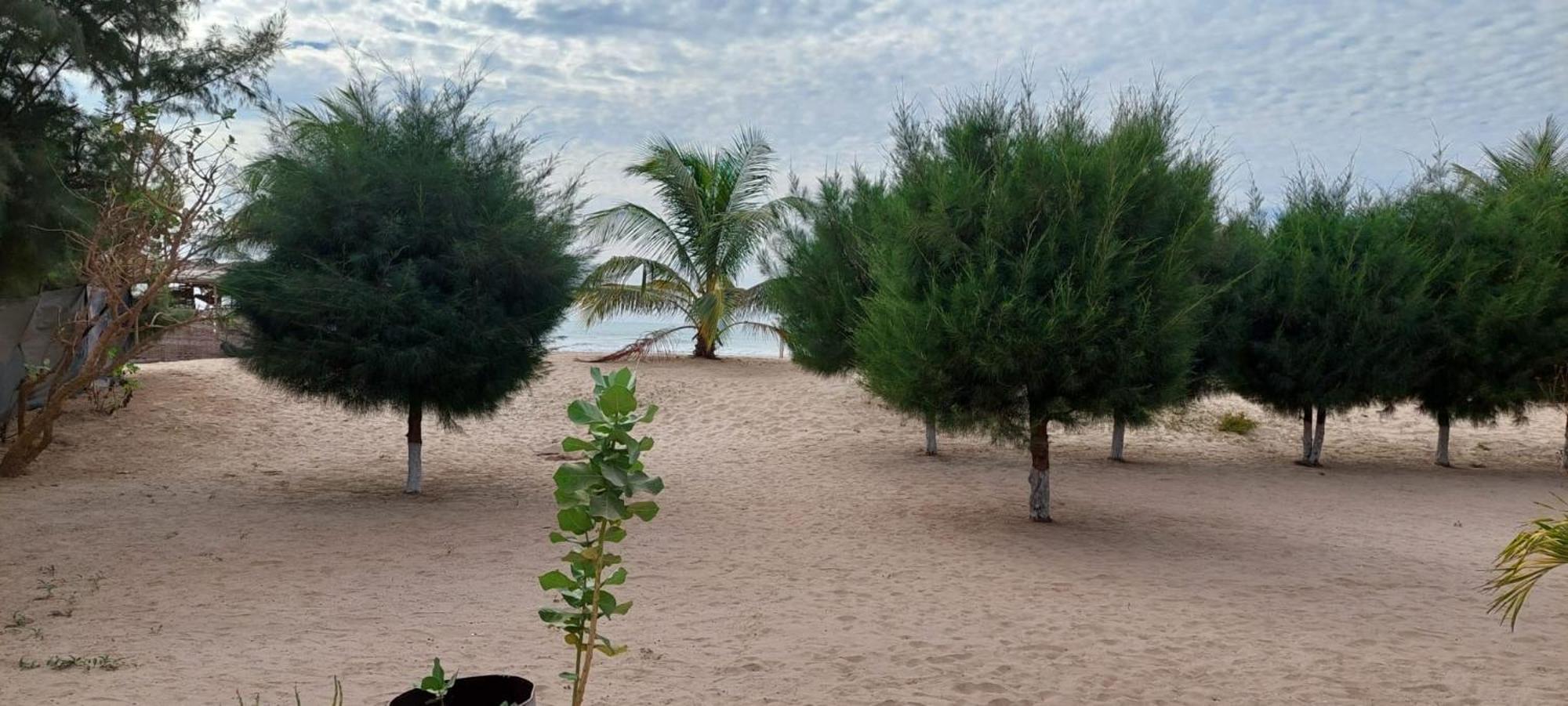 Mangrove Beach Sanyang Экстерьер фото