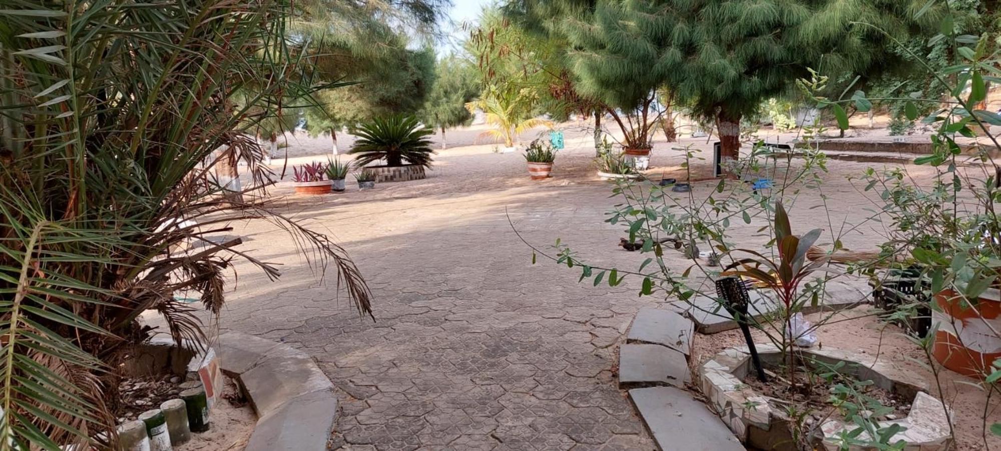 Mangrove Beach Sanyang Экстерьер фото