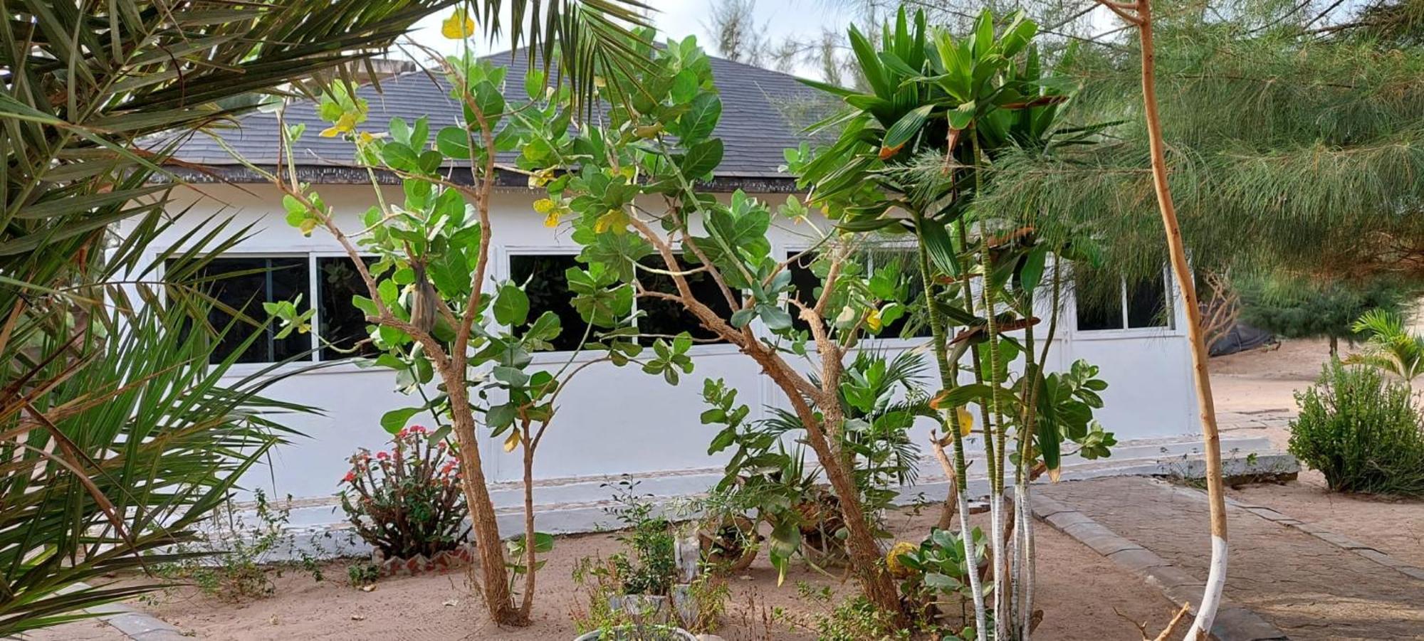 Mangrove Beach Sanyang Экстерьер фото