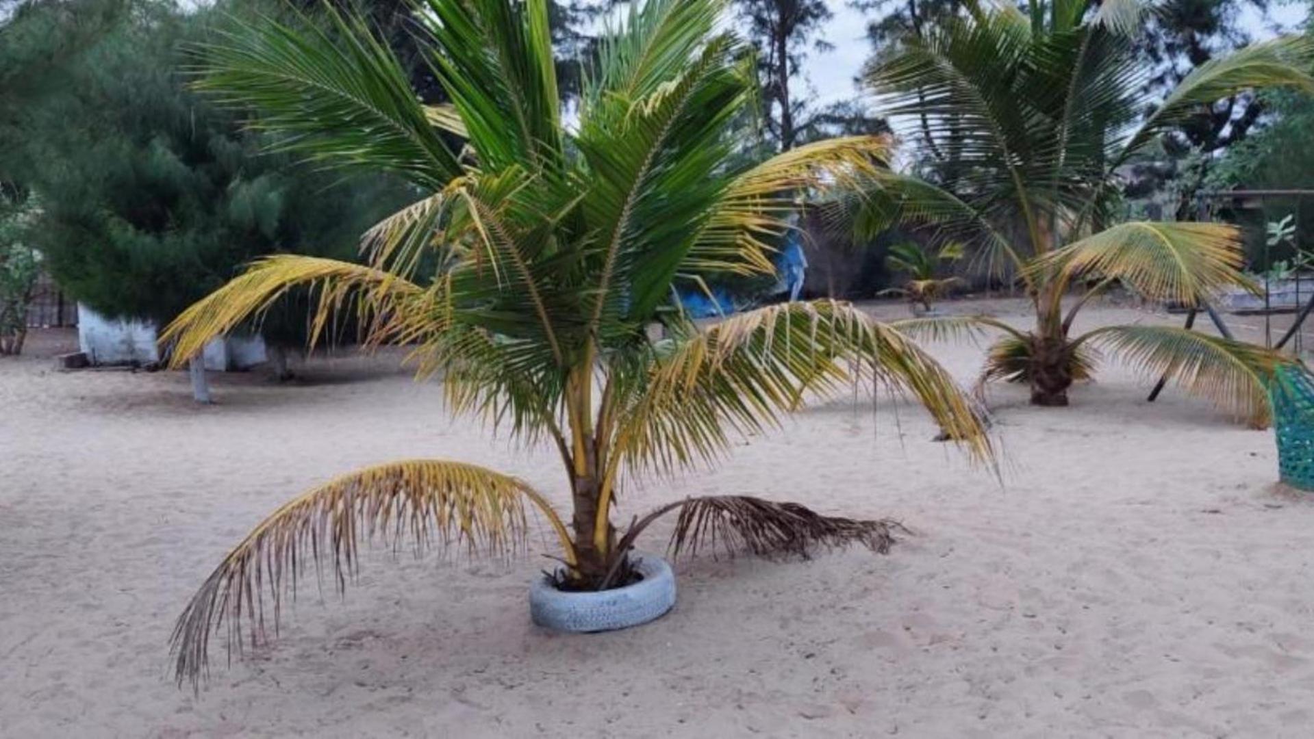 Mangrove Beach Sanyang Экстерьер фото